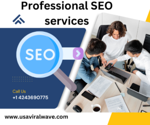 Professional SEO services 